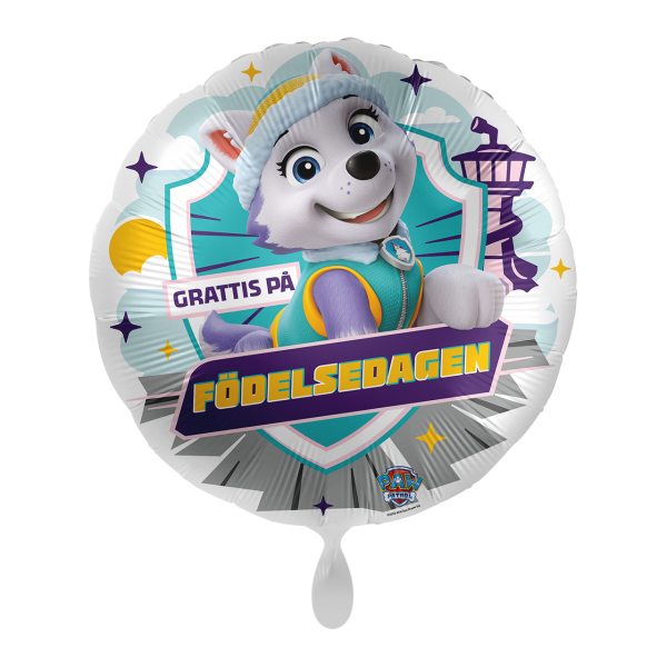 1 Balloon - Nickelodeon - Snow Cool Wishes from Everest - SWE